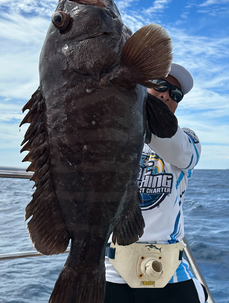 Bay Fishing Joiners